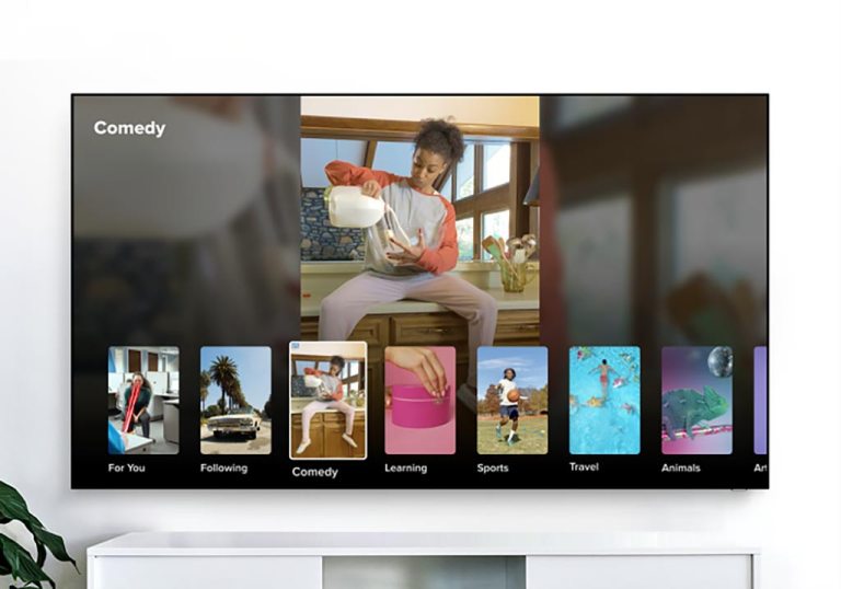 圖片來源：TikTok。